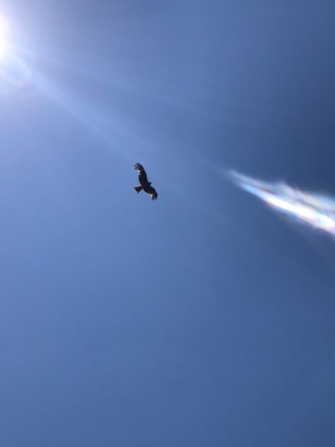 これだけは歴とした(?)頂き物。つーさん、ありがとう! !